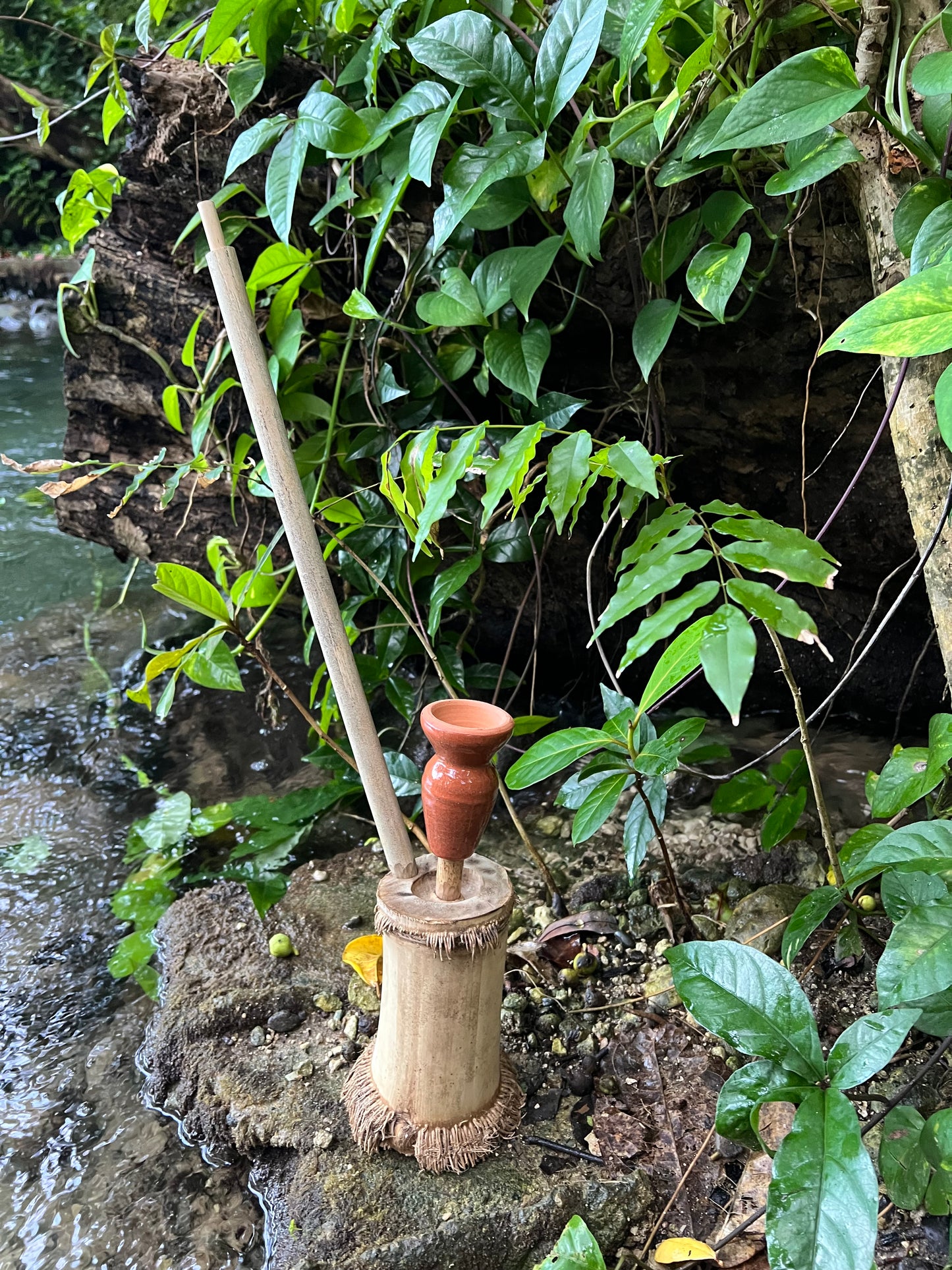 Rootical Bamboo Steam Chalice