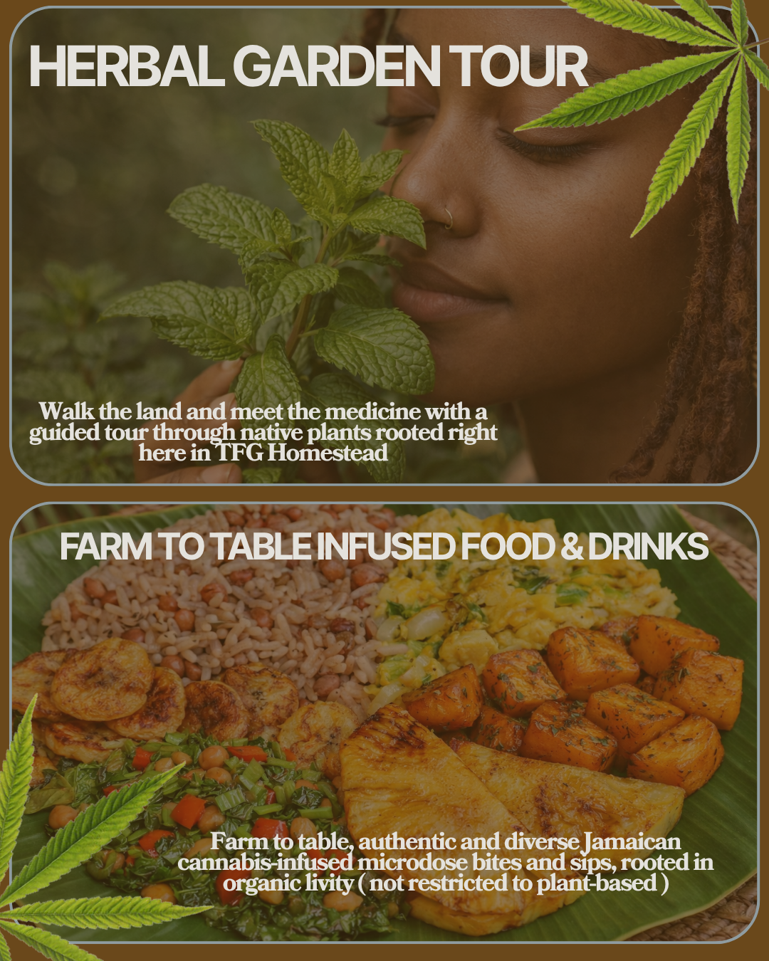 420 CONSCIOUS CANNABLISS IMMERSION TICKET