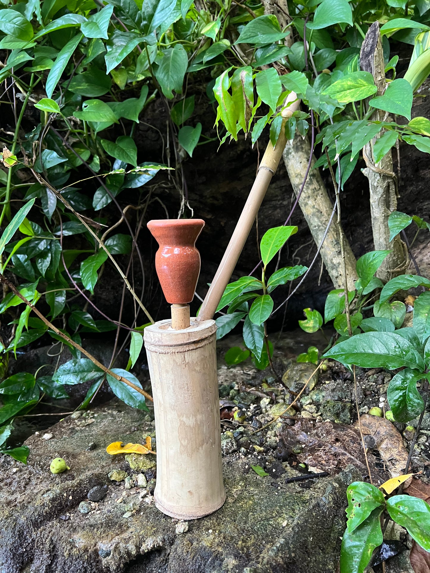Rootical Bamboo Steam Chalice