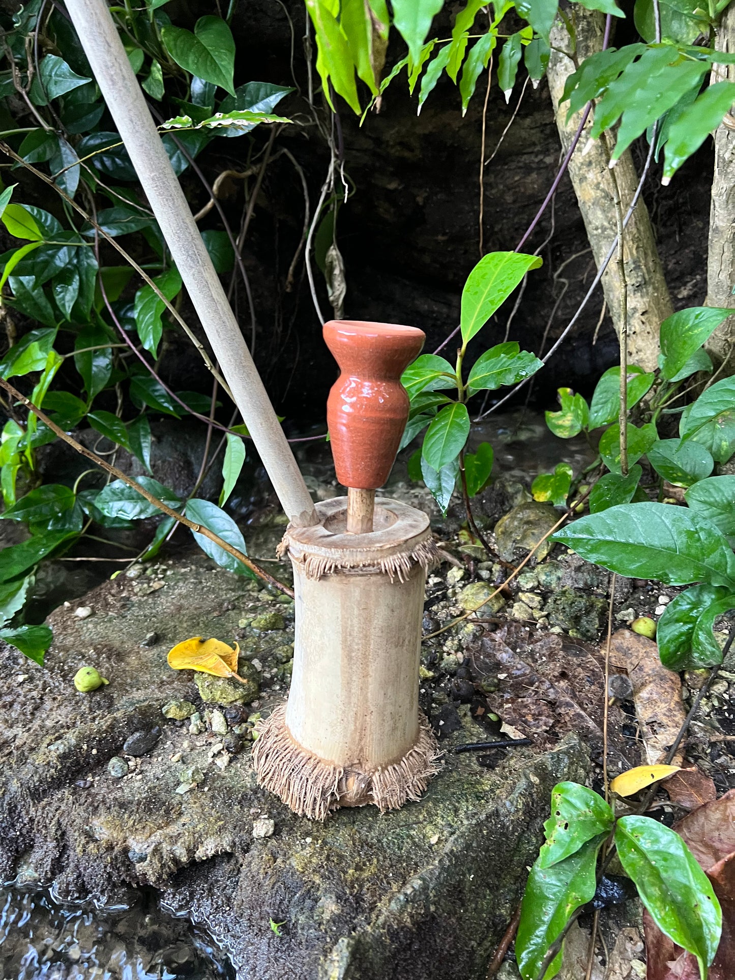 Rootical Bamboo Steam Chalice