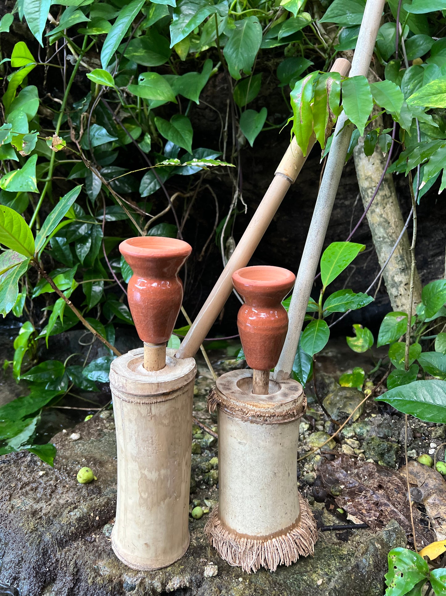 Rootical Bamboo Steam Chalice