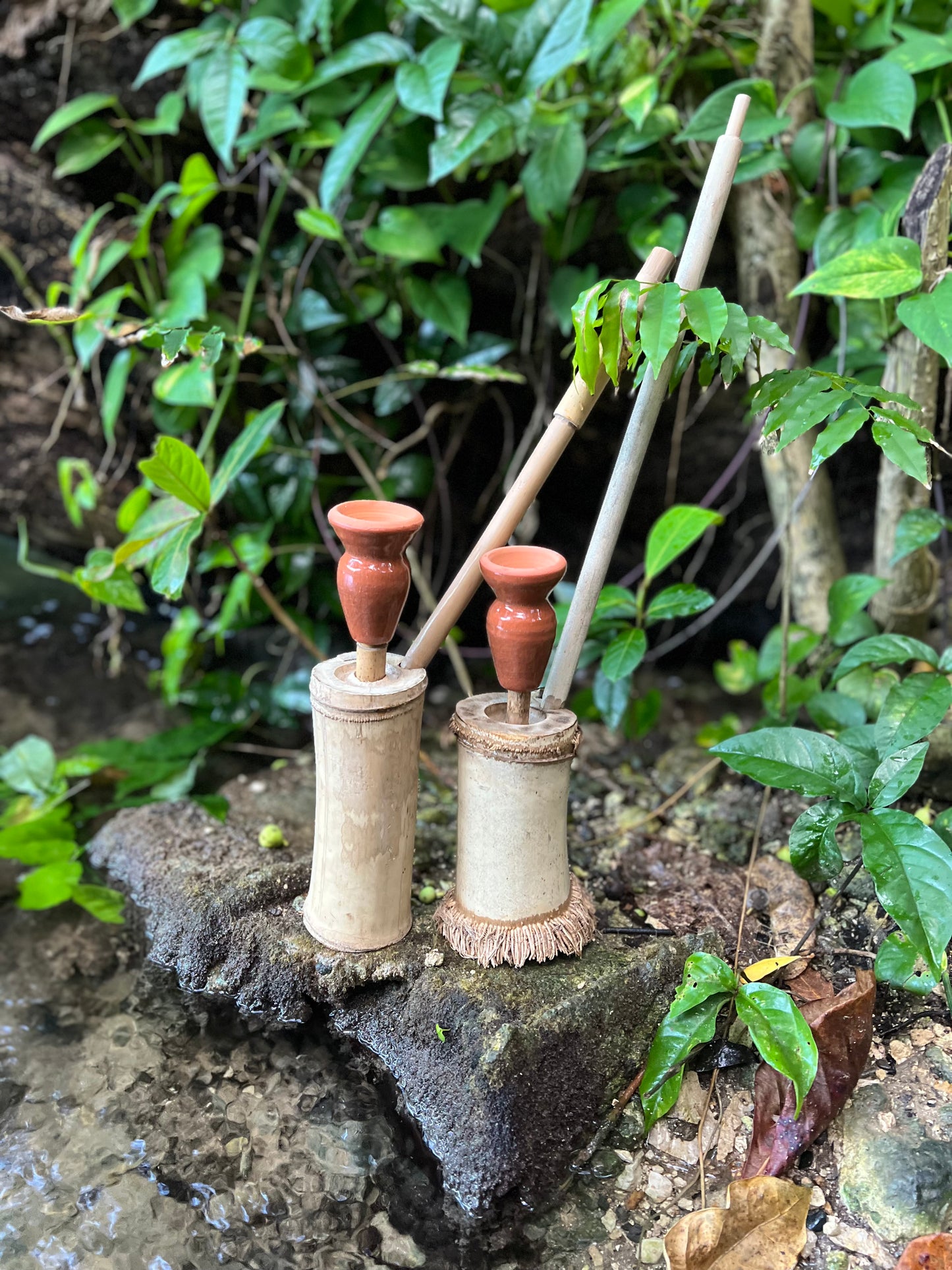 Rootical Bamboo Steam Chalice