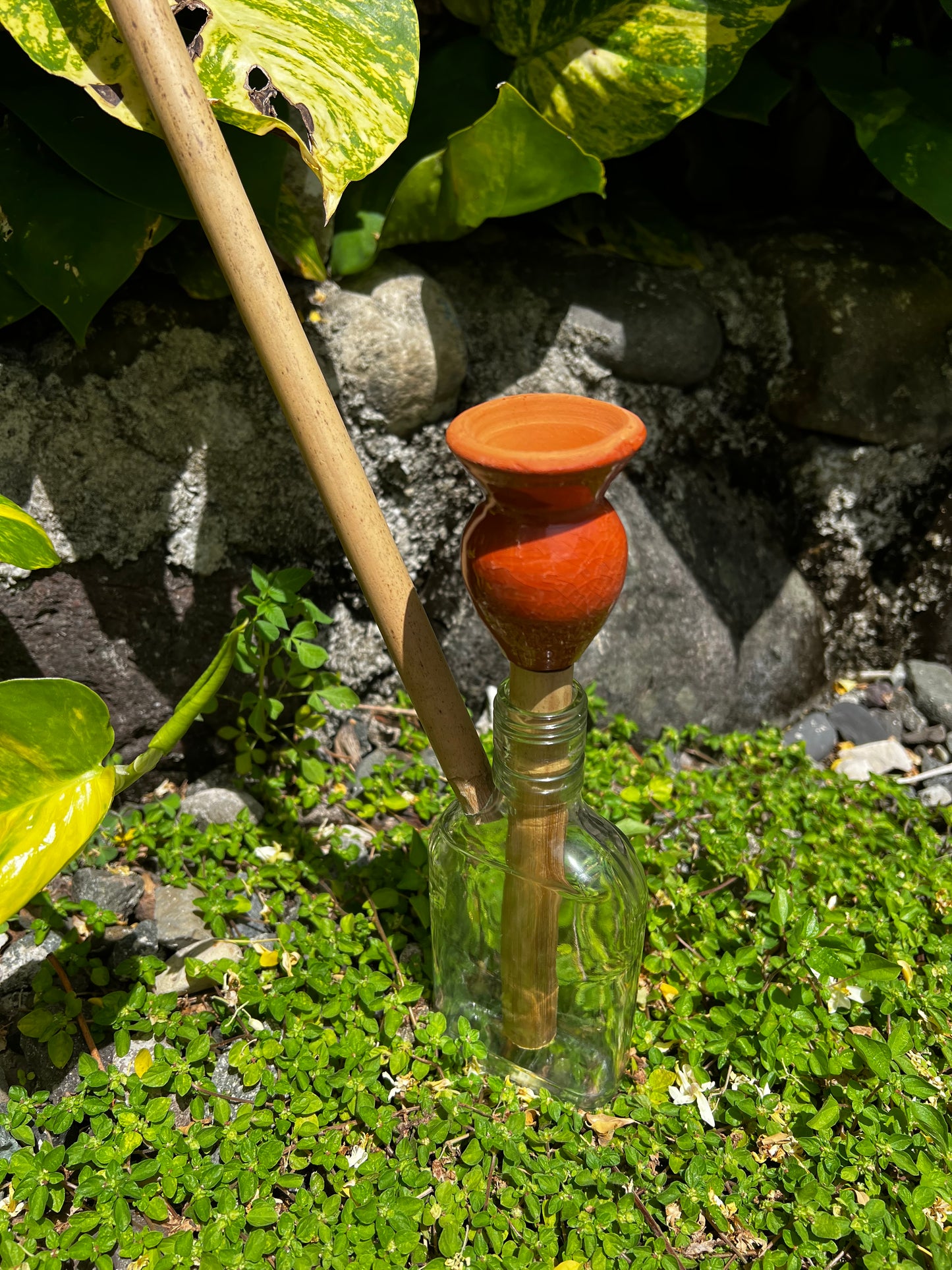 Likkle Ites Glass Steam Chalice
