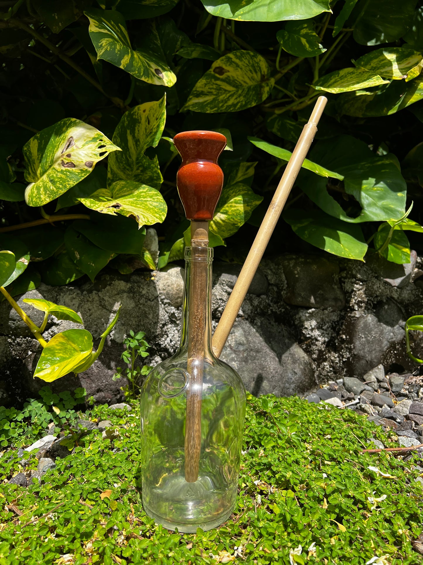 Henny Ina Honey Glass Steam Chalice
